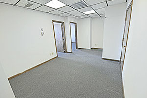 Graham Plaza, Suite 512, spacious reception area with two adjoining doors leading to private offices.